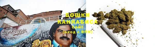 сатива Беломорск