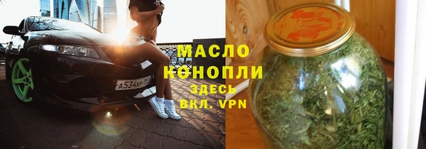 сатива Беломорск