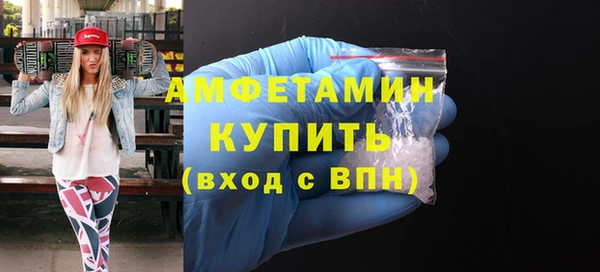 сатива Беломорск