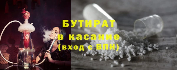 сатива Беломорск