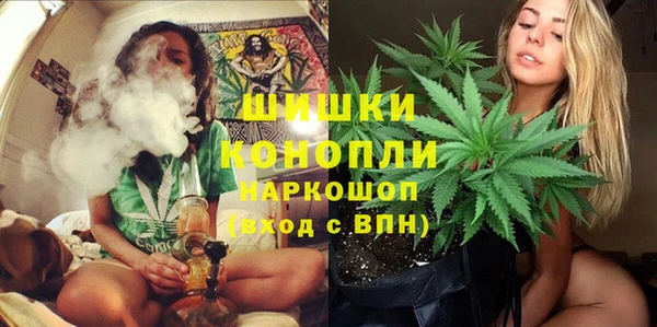 сатива Беломорск