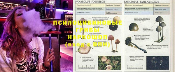 мескалин Белокуриха